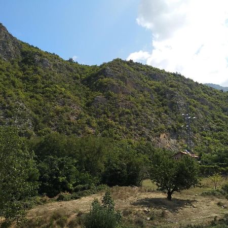 The Brothers Villa Hotel Ohrid Ngoại thất bức ảnh