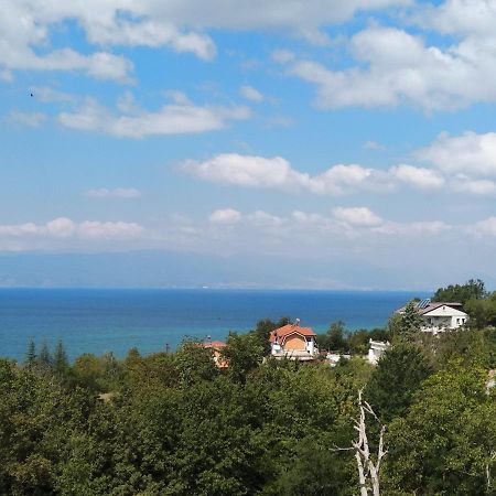 The Brothers Villa Hotel Ohrid Ngoại thất bức ảnh