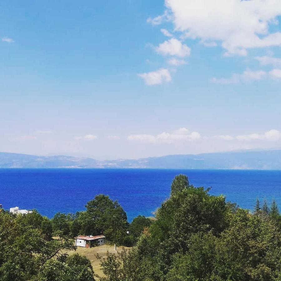 The Brothers Villa Hotel Ohrid Ngoại thất bức ảnh