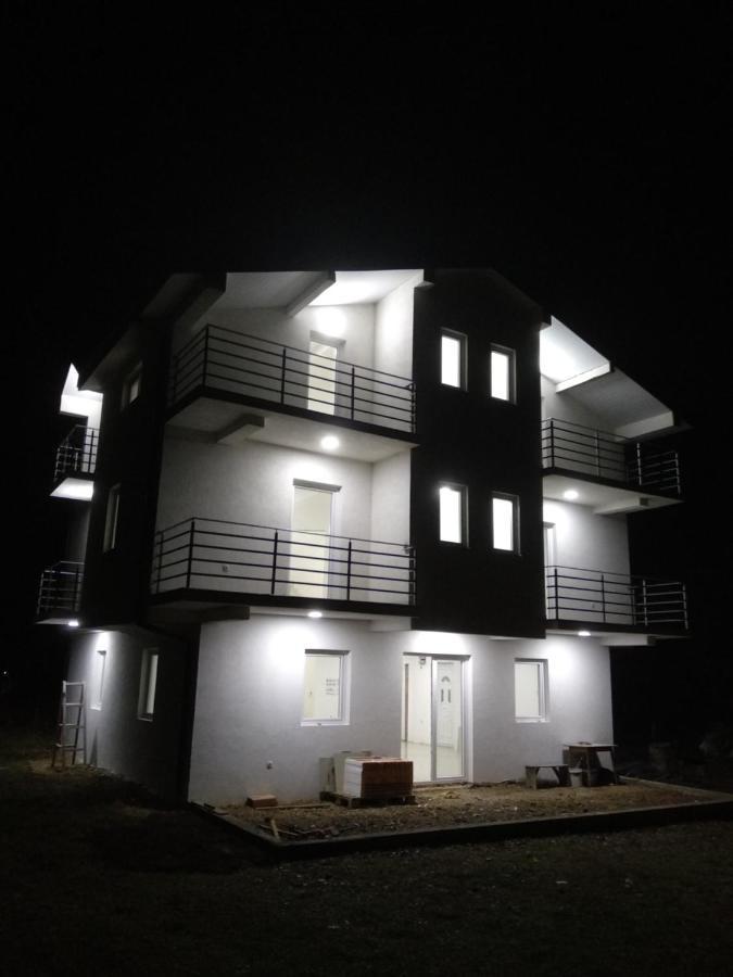 The Brothers Villa Hotel Ohrid Ngoại thất bức ảnh