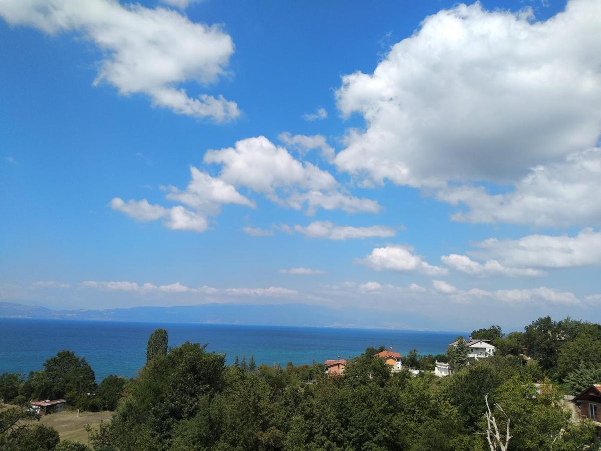The Brothers Villa Hotel Ohrid Ngoại thất bức ảnh