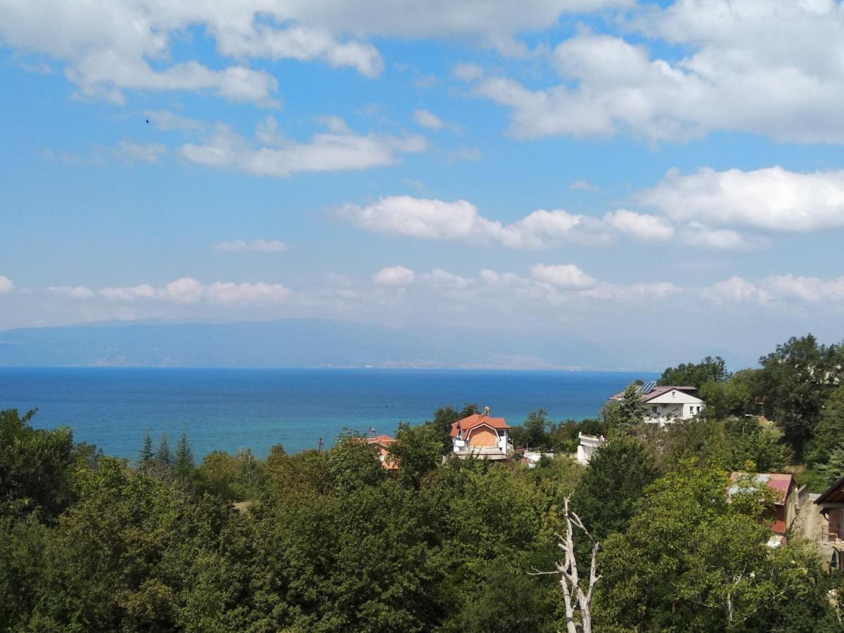 The Brothers Villa Hotel Ohrid Ngoại thất bức ảnh