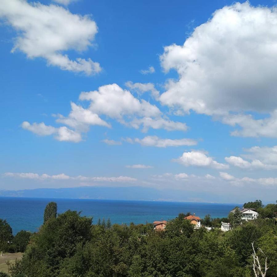 The Brothers Villa Hotel Ohrid Ngoại thất bức ảnh