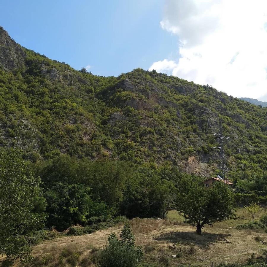 The Brothers Villa Hotel Ohrid Ngoại thất bức ảnh